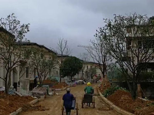 園林綠化工程施工，園林綠化養(yǎng)護(hù)，別墅庭院綠化