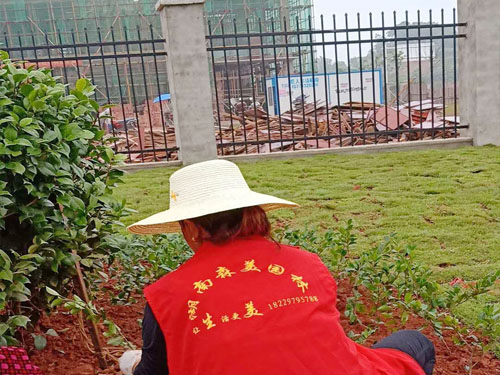 園林綠化工程施工,園林綠化養護,別墅庭院綠化,湖南株洲工業園區道路提質改造