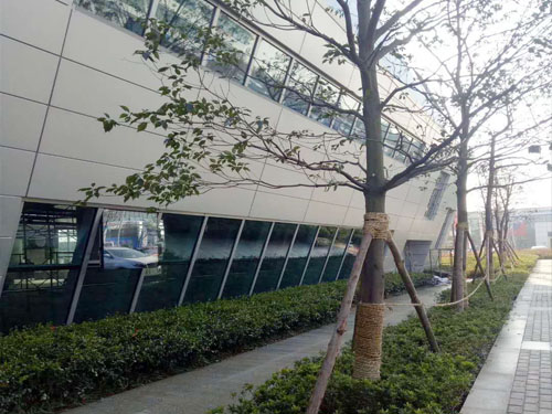 園林綠化工程施工，園林綠化養護，別墅庭院綠化