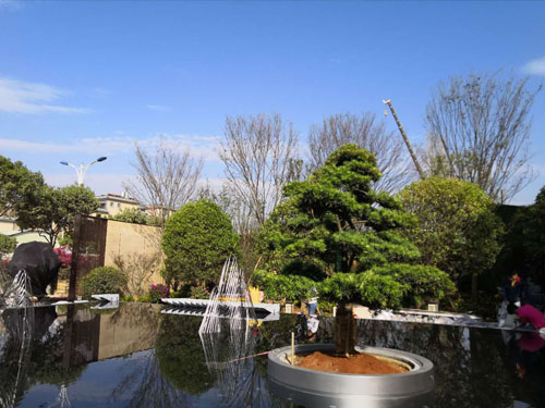 園林綠化工程施工，園林綠化養(yǎng)護，別墅庭院綠化