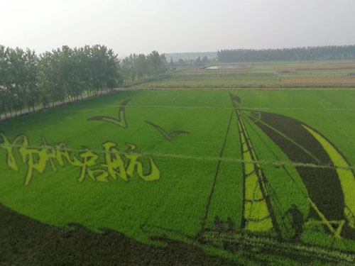 園林綠化工程施工，園林綠化養護，別墅庭院綠化