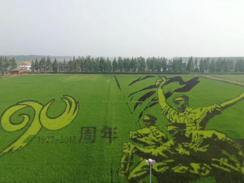 園林綠化工程施工，園林綠化養護，別墅庭院綠化